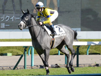 未勝利戦　キャンター