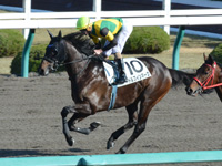 未勝利戦　キャンター