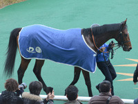 500万平場戦　口取り