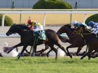 第50回 シンザン記念（ＧIII）　ゴール前（中4着）