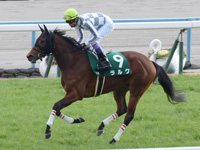 第50回 シンザン記念（ＧIII）　キャンター