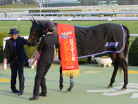 第50回 シンザン記念（ＧIII）　口取り
