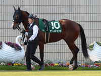第50回 シンザン記念（ＧIII）　パドック