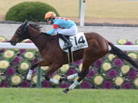 新馬戦（牝）　ゴール前