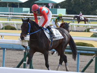 未勝利戦　凱旋