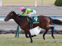 第56回 きさらぎ賞（ＧＩＩＩ）　ゴール前