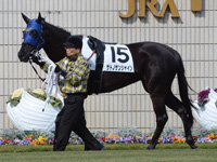 未勝利戦　パドック