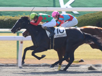未勝利戦　ゴール前