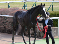 未勝利戦　口取り