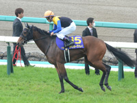 第76回 桜花賞（ＧＩ）　本馬場入場