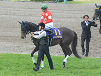 第76回 桜花賞（ＧＩ）　本馬場入場