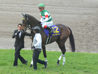 第76回 桜花賞（ＧＩ）　本馬場入場