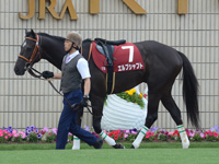 第64回 京都新聞杯（ＧＩＩ）　パドック