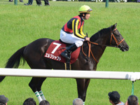 第64回 京都新聞杯（ＧＩＩ）　本馬場入場