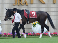 第64回 京都新聞杯（ＧＩＩ）　パドック