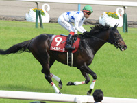 第64回 京都新聞杯（ＧＩＩ）　キャンター
