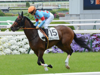 未勝利戦（牝）　キャンター