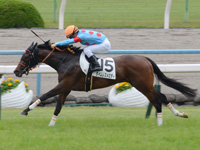 未勝利戦（牝）　ゴール前