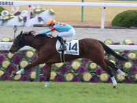 京都6R　新馬　ロッテンマイヤー