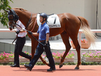 新馬　パドック