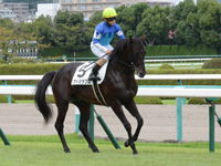 新馬　本馬場入場