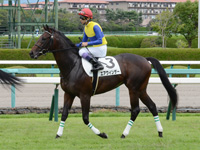 新馬　本馬場入場