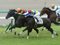 新馬　ゴール前（外2着）
