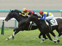 新馬　ゴール前（内1着）