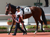 未勝利　パドック