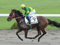 未勝利　キャンター