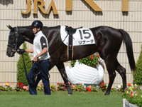 新馬（牝）　パドック