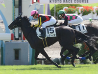 新馬（牝）　ゴール前