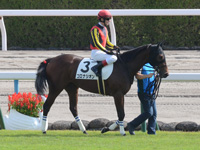 新馬　本馬場入場