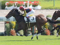 新馬　ゴール前