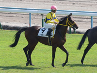 未勝利　本馬場入場