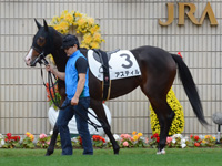 新馬（牝）　パドック