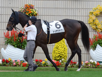 新馬　パドック