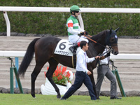新馬　本馬場入場