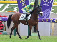 新馬　本馬場入場