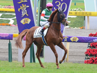 新馬　本馬場入場