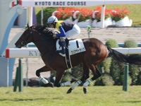 新馬　ゴール前