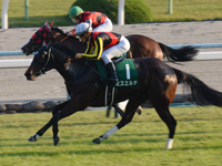第21回 ファンタジーステークス（ＧIII）　直線（交わす瞬間）
