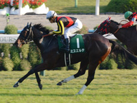 第21回 ファンタジーステークス（ＧIII）　ゴール前