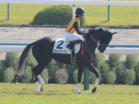 未勝利　本馬場入場