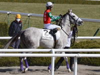 未勝利　本馬場入場