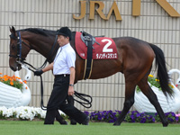 第65回 京都新聞杯（ＧII）　パドック