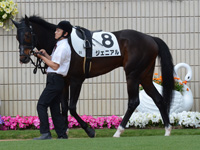 未勝利　パドック