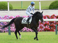 未勝利　本馬場入場