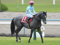 第65回 京都新聞杯（ＧII）　本馬場入場