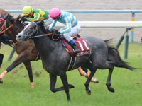 第65回 京都新聞杯（ＧII）　ゴール前